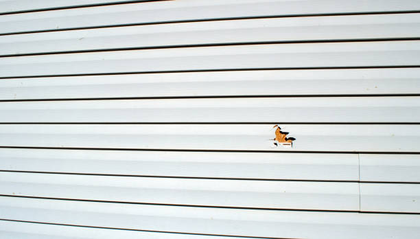 Best Brick Veneer Siding  in Pitman, NJ