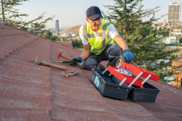 Best Siding Removal and Disposal  in Pitman, NJ